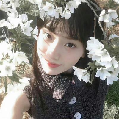 萌宠成长记 第二季